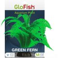GloFish Green Fern Aquarium Plant