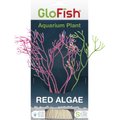 GloFish Red Algae Aquarium Plant