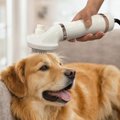 Fido Fave Dog Grooming Hair Dryer with Slicker Brush, White, Medium