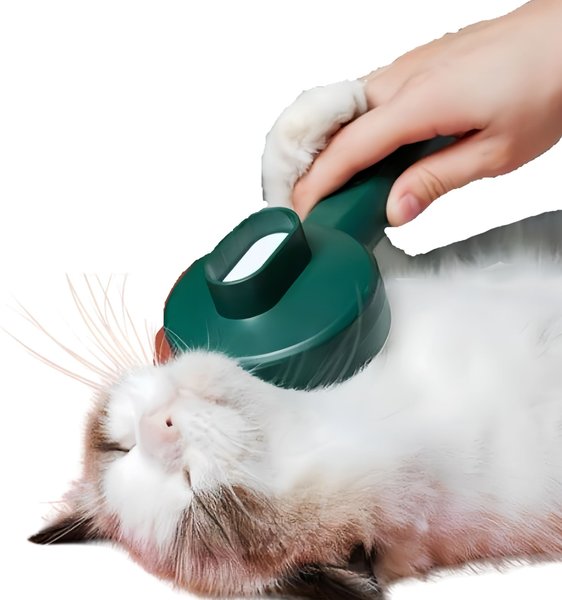 Fido Fave Self-Cleaning UV Sterilization Cat Slicker Brush, Green, Medium slide 1 of 9