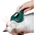 Fido Fave Self-Cleaning UV Sterilization Cat Slicker Brush, Green, Medium