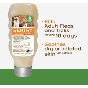 Photo inspiration: Picture Idea: 10 Best Flea Tick Shampoos For Dogs 2024 According To