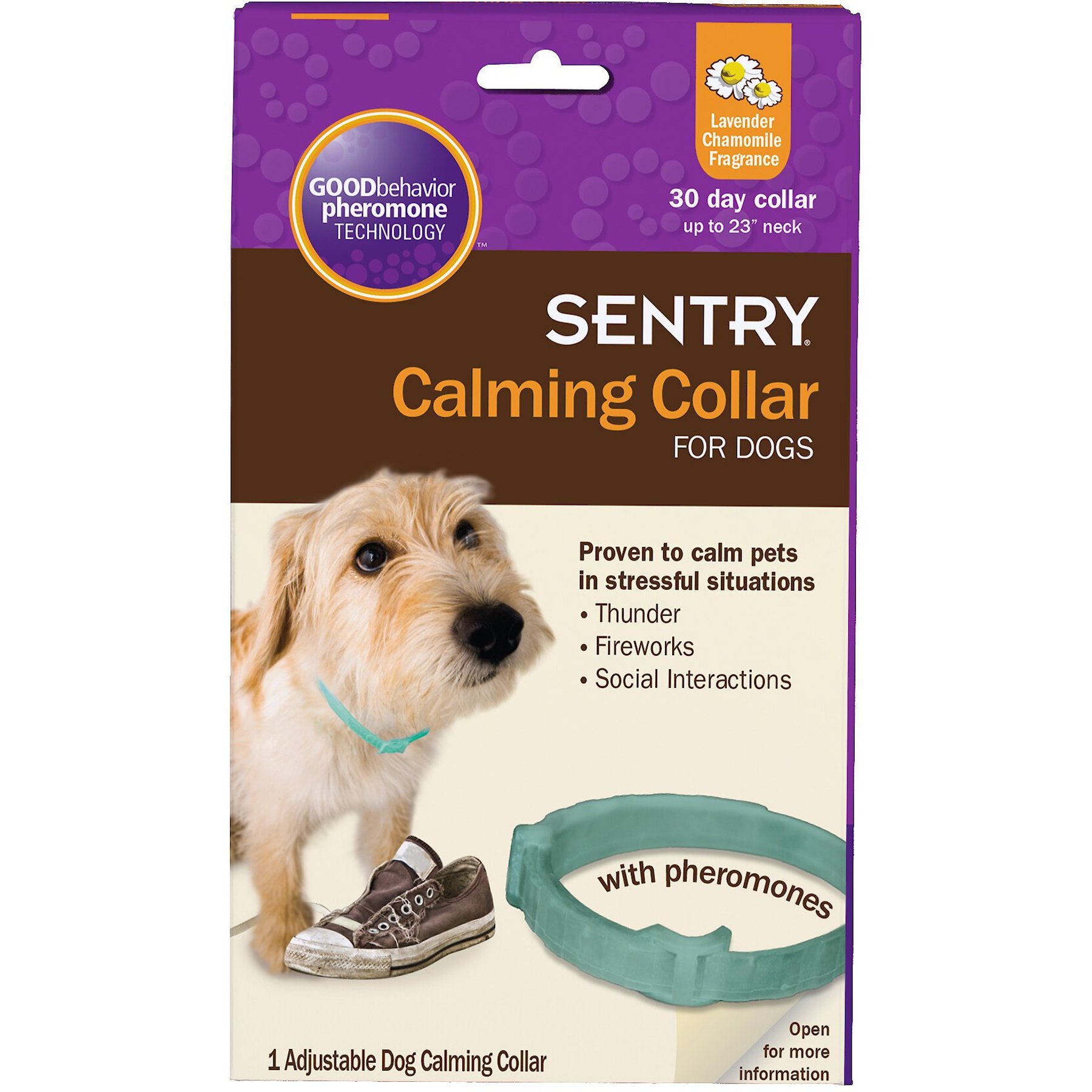 CALMING befofe COLLAR FOR DOG