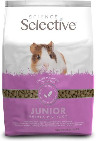 varkensvlees Grootste Afwijzen SCIENCE SELECTIVE Junior Guinea Pig Food, 3.3-lb bag, Each - Chewy.com