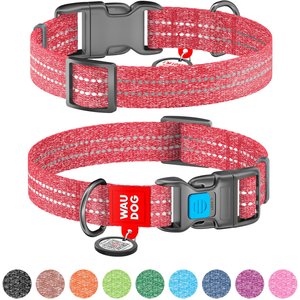 WAUDOG Re-Cotton with QR passport Dog Collar, Red, Large