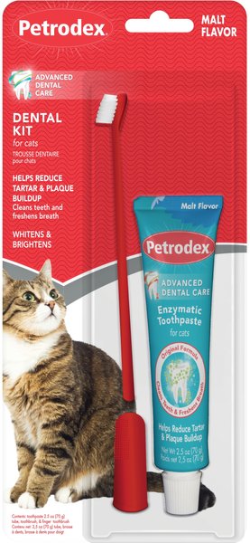 Best cat outlet toothpaste