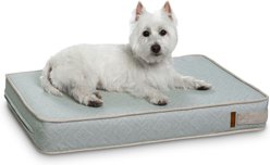 Bark and Slumber Birdie Foam Eco Friendly Fabric Lounger Dog Bed, blue, Small