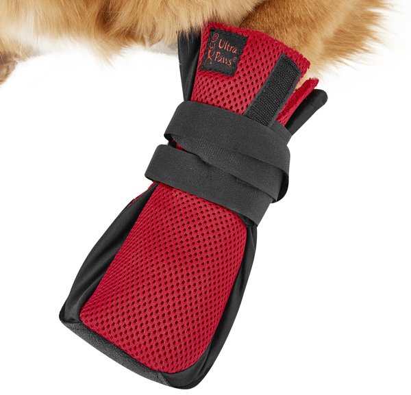 Ultra Paws Wound Dog Boot, Large slide 1 of 10