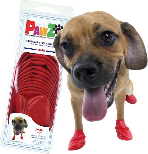 Anti digging dog boots sale