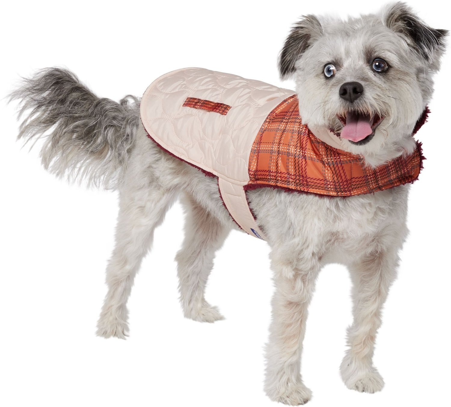 FRISCO Mediumweight Colorblock Insulated Dog & Cat Puffer Coat