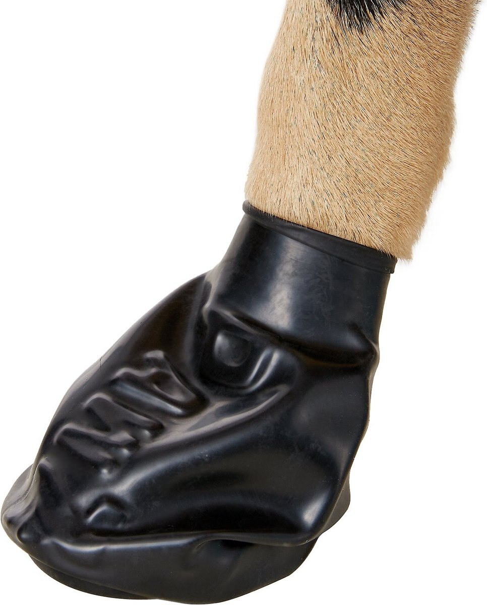 PAWZ Waterproof Dog Boots, Black, Tiny, 12 count