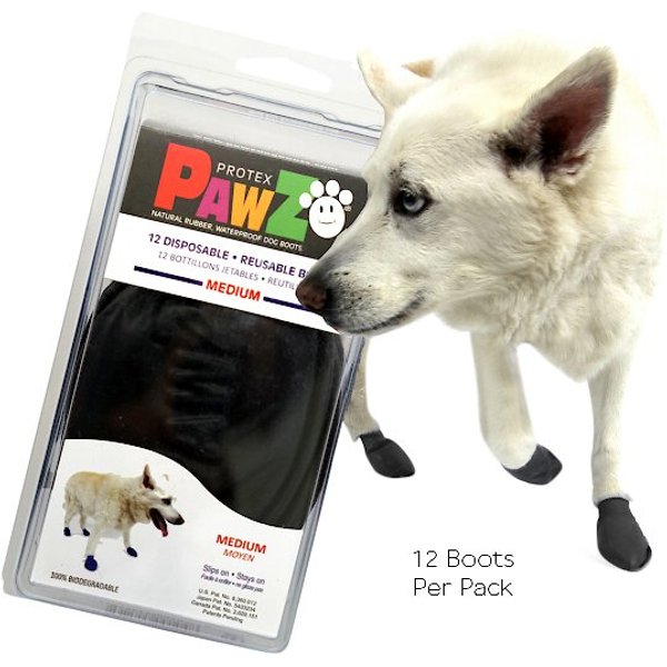 PAWZ Waterproof Dog Boots, 12 count, Blue, Medium - Chewy.com