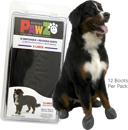 Pawz dog clearance boots