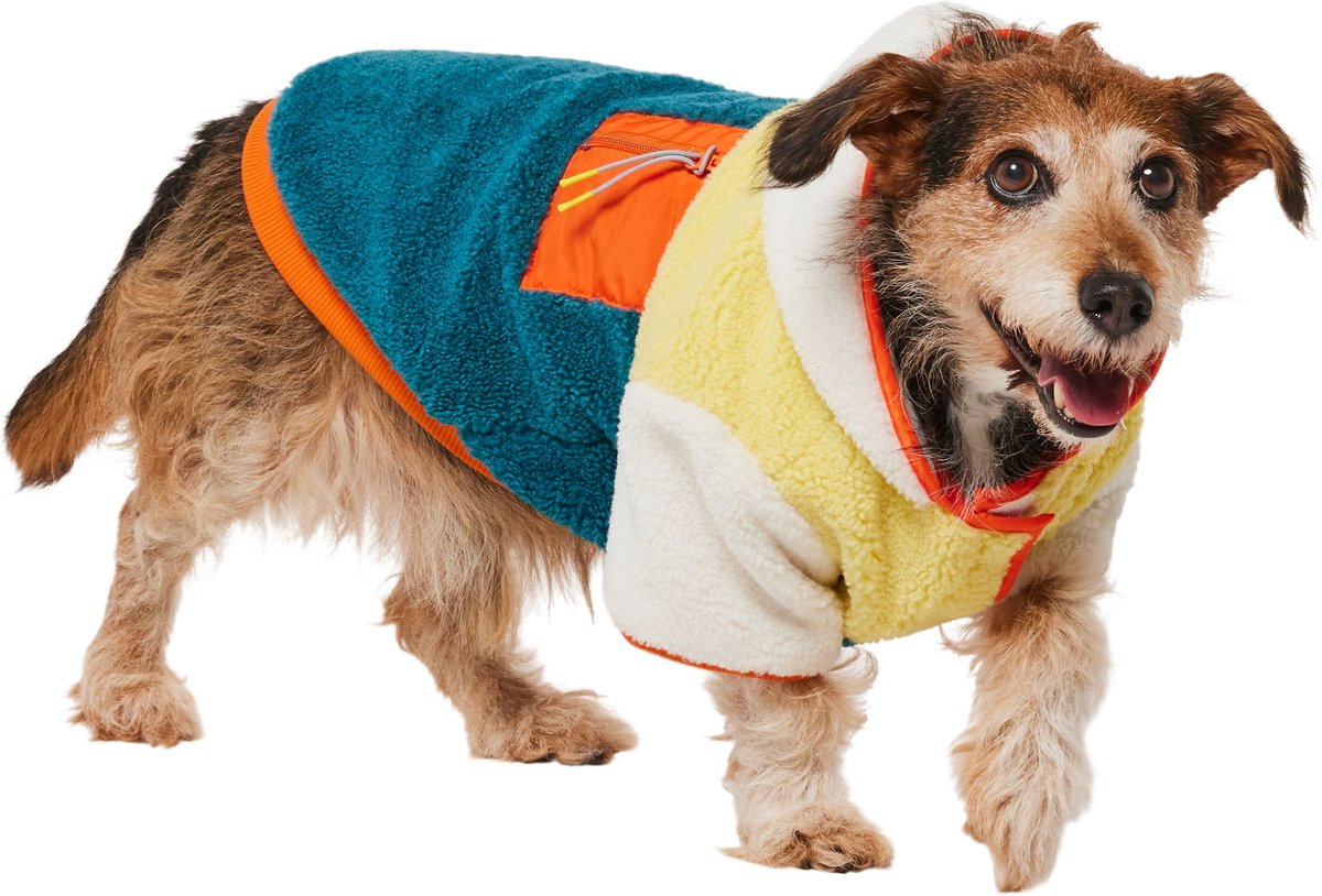 Frisco Colorblock Fleece Dog & Cat Hoodie w/ Pocket