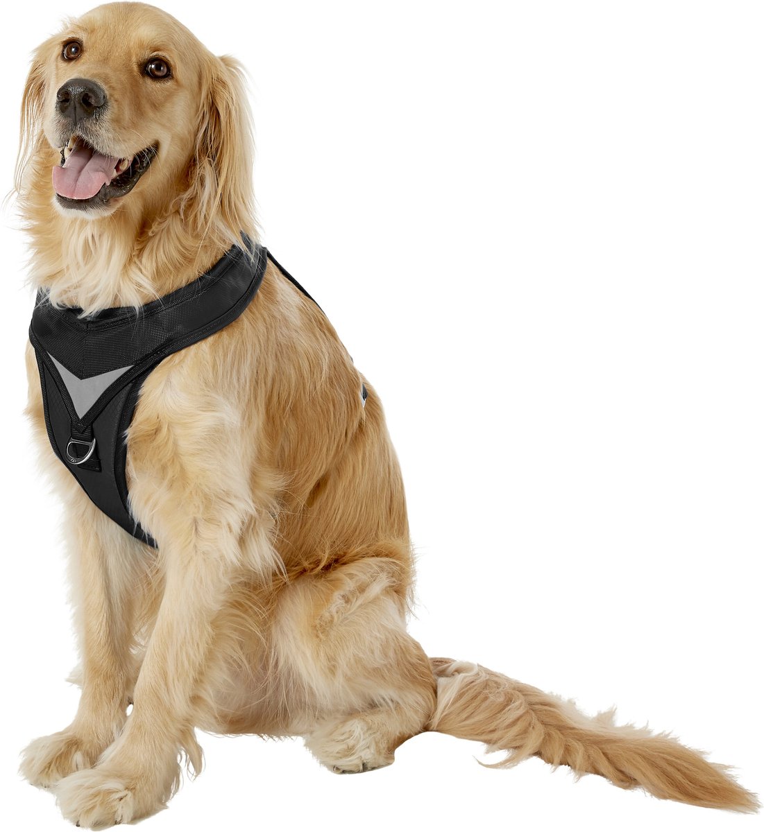 Kurgo go tech outlet adventure harness