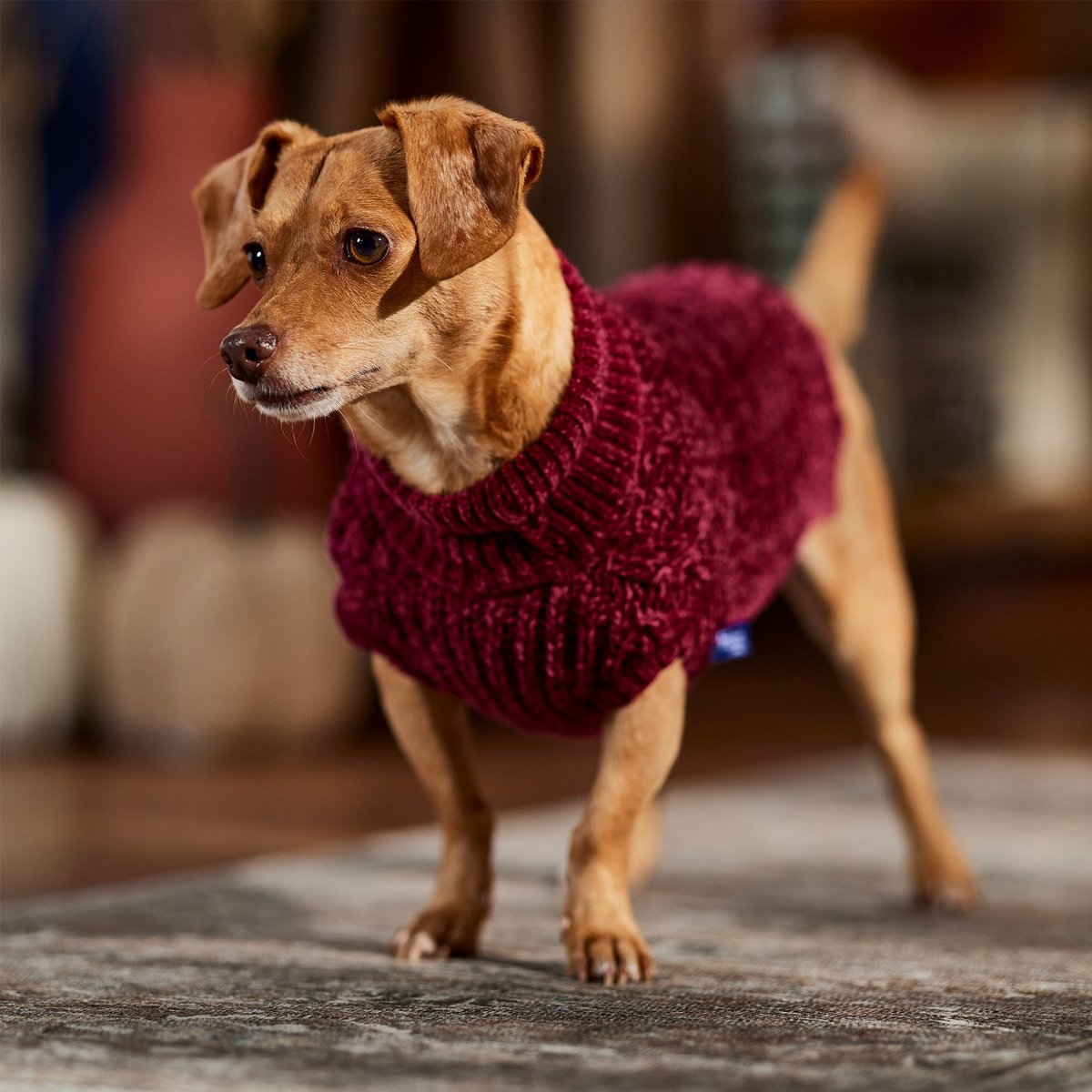 Hand Knit Hot Pink Ruffles Dog Sweater w/Hat