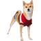 Show in main carousel: Frisco Chunky Knit Multi-Stripe Dog & Cat Sweater, Medium slide 1 of 9