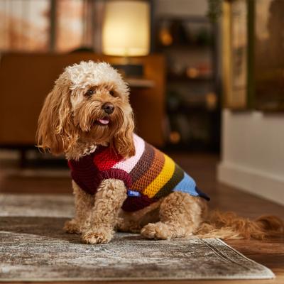 Show full view: Frisco Chunky Knit Multi-Stripe Dog & Cat Sweater, Medium slide 7 of 9