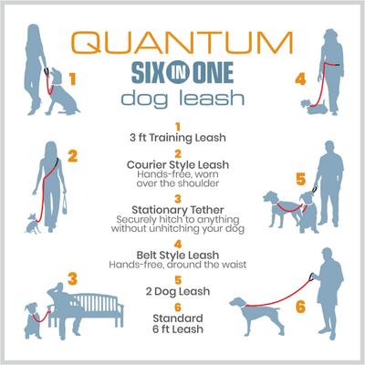 Show full view: Kurgo Quantum Nylon Reflective Hands-Free Running Dog Leash, Red/Blue, 6-ft long, 1-in wide slide 7 of 12