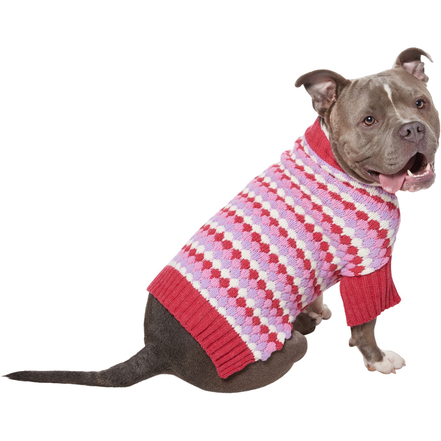 Dog sweater outlet chewy