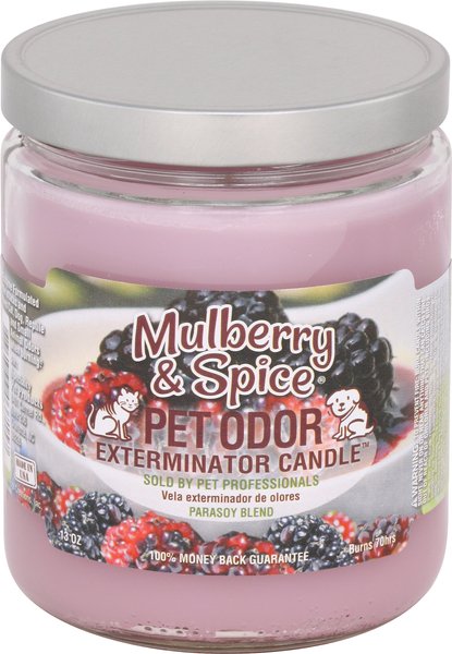 Pet Odor Exterminator Mulberry & Spice Deodorizing Candle, 13-oz jar slide 1 of 4
