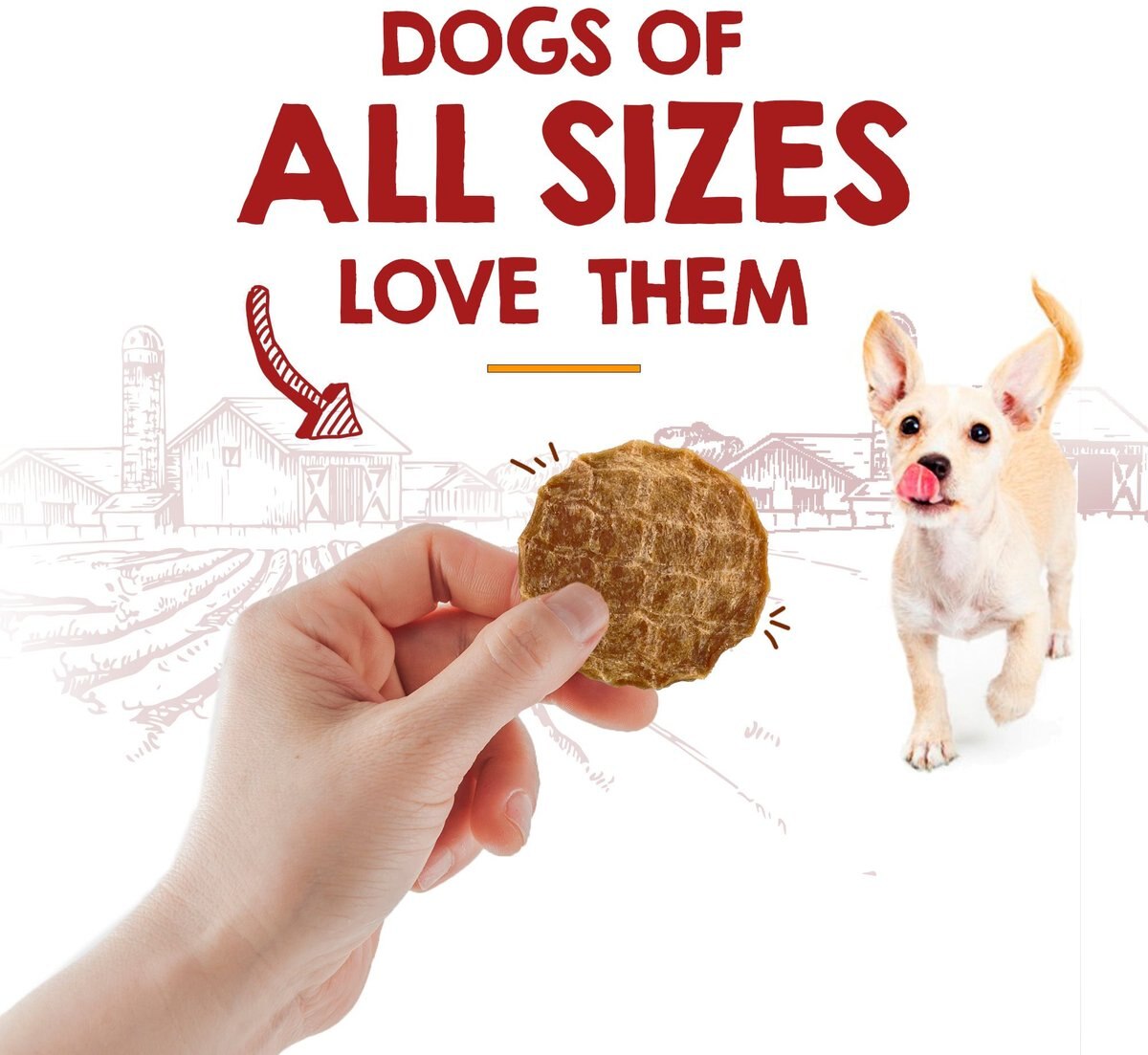 Vegalicious Healthy Dehydrated All-Natural Apple Rings Dog Treats, 5.6-oz bag