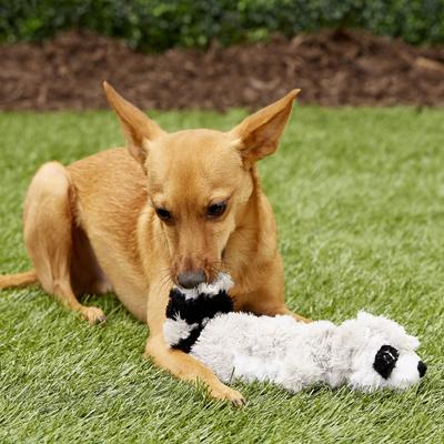 Show full view: KONG Scrunch Knots Raccoon Dog Toy, Small/Medium slide 6 of 9