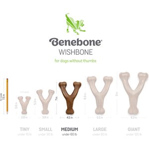 Benebone Bacon Flavor Wishbone Tough Dog Chew Toy, Medium