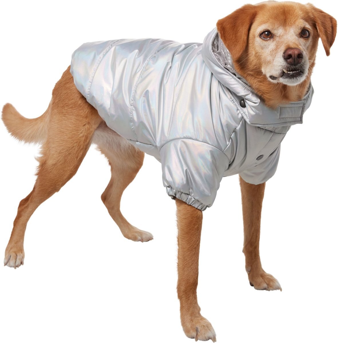 FRISCO Heavy Weight Iridescent Quilted Dog & Cat Hooded Puffer Coat, X