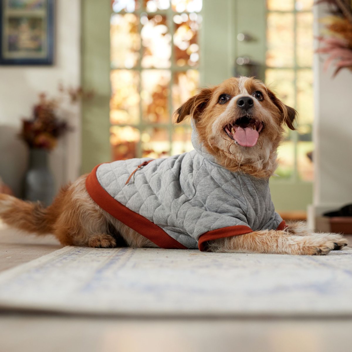 Frisco Quilted Dog & Cat Hoodie