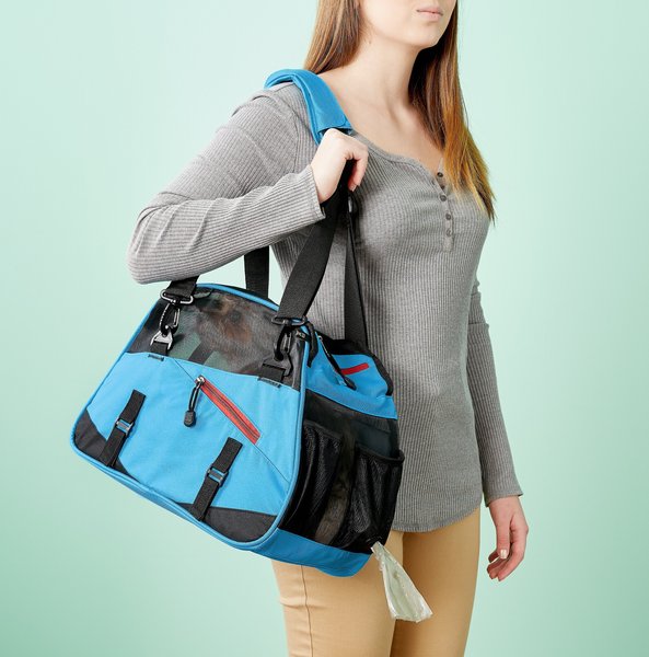 Discontinued BERGAN Voyager AirlineApproved Dog & Cat Carrier Bag