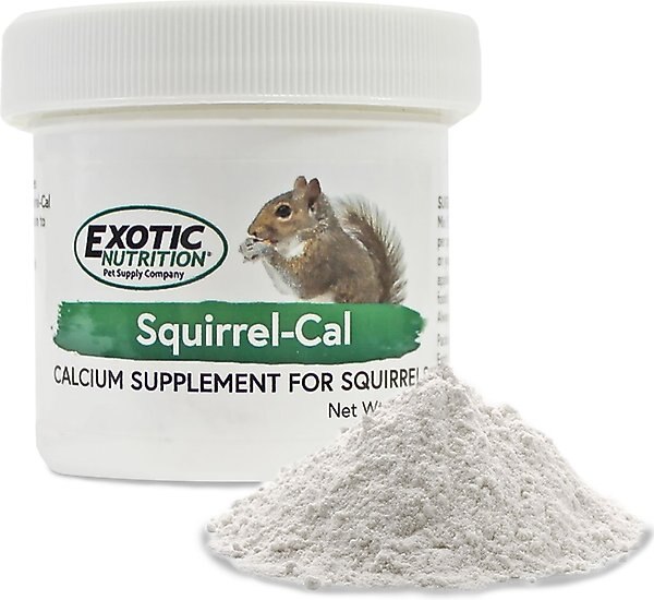 Exotic Nutrition Squirrel-Cal Calcium Squirrel Supplement, 3.5-oz bag slide 1 of 1