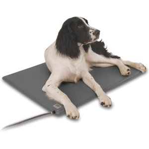 Lectro-Soft™ Heated Dog Pad with Cover Size 24 L x 19 W Medium 
