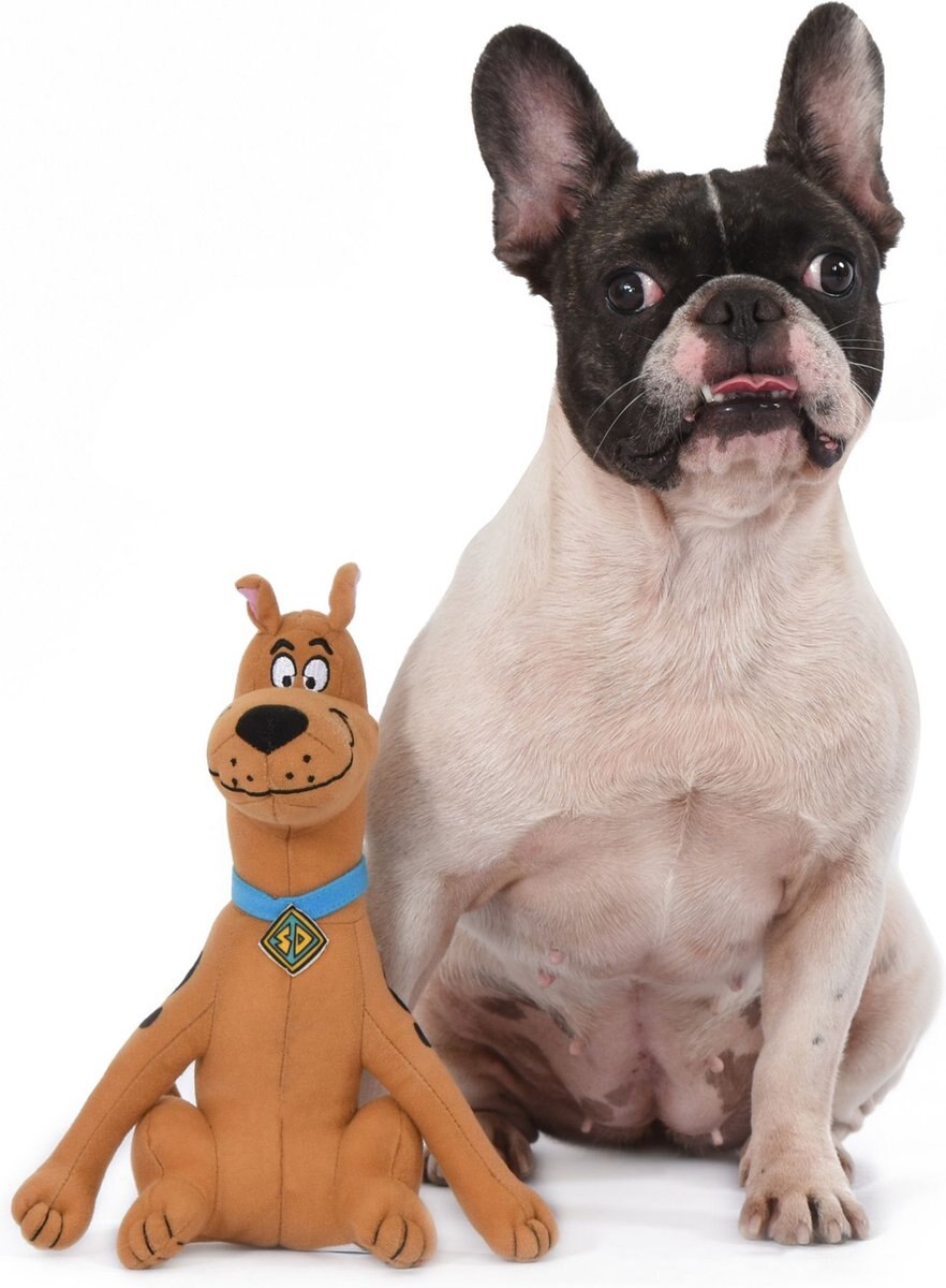 Fetch for Pets Warner Bros Scooby Doo Figure Plush Squeaky Dog Toy