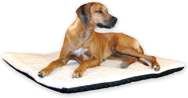 K&H Pet Products Thermo-Bed Orthopedic Cat & Dog Bed, X-Large slide 1 of 10
