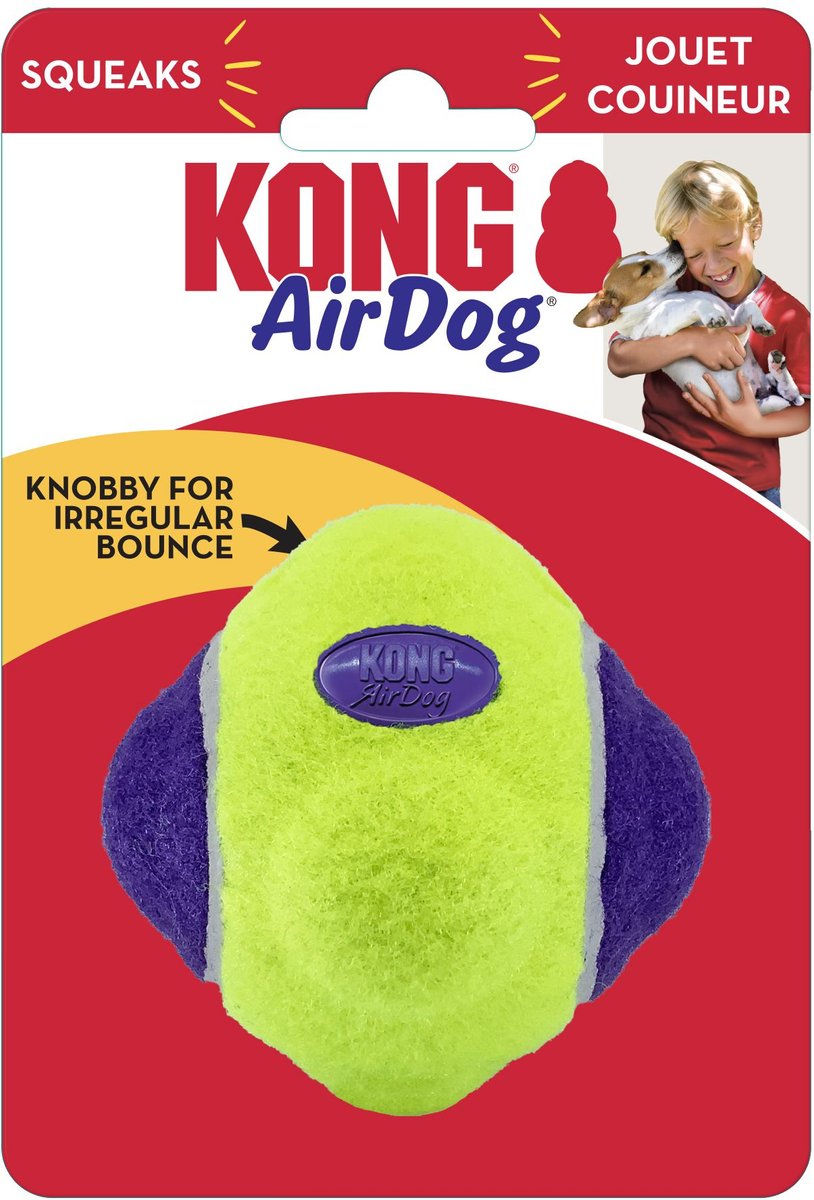 Kong air squeaker sales disc