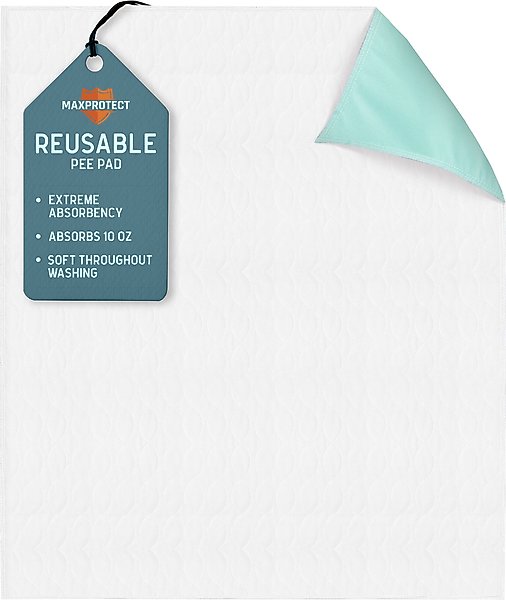 Chew + Heal Max Protect Reusable Dog Pee Pads, 34-in, 1 count slide 1 of 8