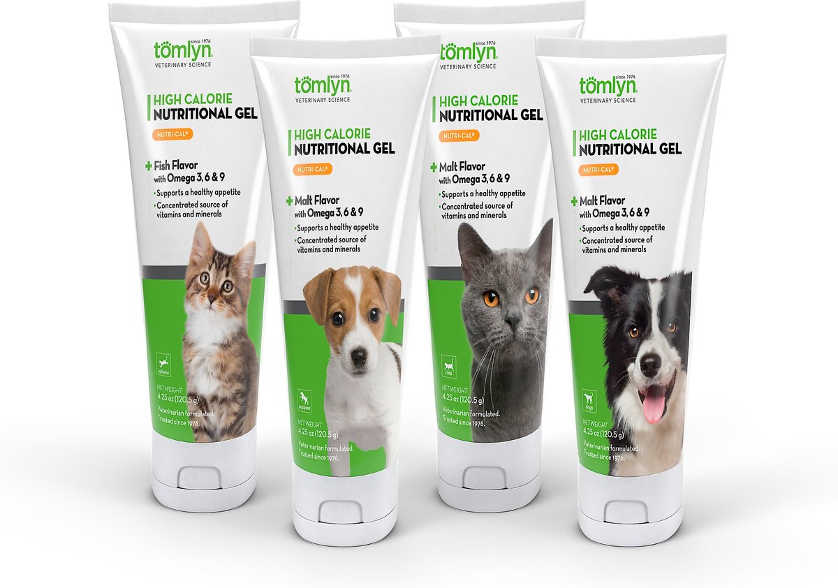 Tomlyn high calorie outlet nutritional gel for puppies