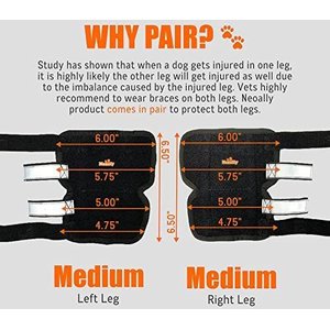 NeoAlly 3-in-1 Long Rear Leg Support Dog Splint Braces, Medium