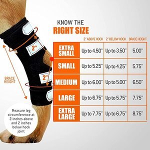 NeoAlly 3-in-1 Long Rear Leg Support Dog Splint Braces, Medium