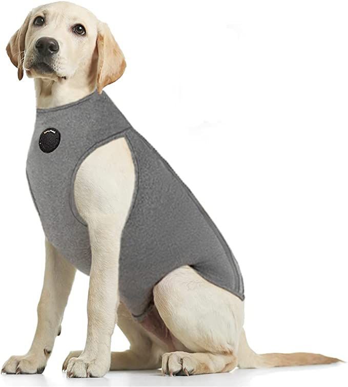 Long Sleeve Dog Surgical Recovery Suit Jumpsuit Anti-Licking Abdominal  Wound Protector E-Collar Alternative After Surgery Wear Pet Jumper