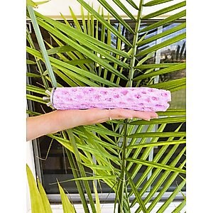 Polly's Pet Products Grape Flavor Tooty Fruity Bee Pollen Bird Perch, Purple, Medium