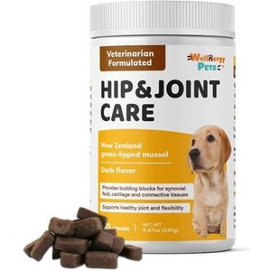 Wellnergy Pets Green Lipped Mussel Hip & Joint Care Supplement for Dogs, 60 count