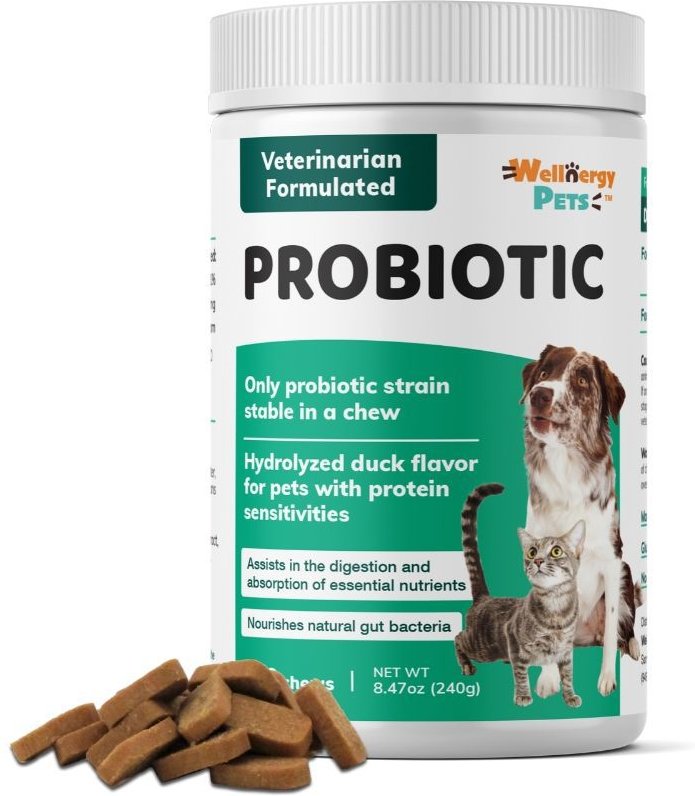 Wellnergy Pets Probiotics & Prebiotics Supplement for Cats & Dogs, 160 count