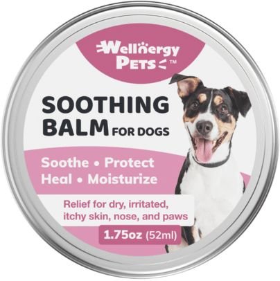 Wellnergy Pets Manuka Honey Soothing Wound Care Dog Balm, 1.75-oz bottle slide 1 of 3