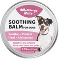 Wellnergy Pets Manuka Honey Soothing Wound Care Dog Balm