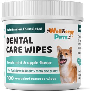 Wellnergy Pets Dental Care Dog Wipes, 100 count