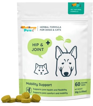 Wellnergy Pets Herbal Qbow Hip & Joint Supplement for Dogs & Cats, 60 count slide 1 of 2