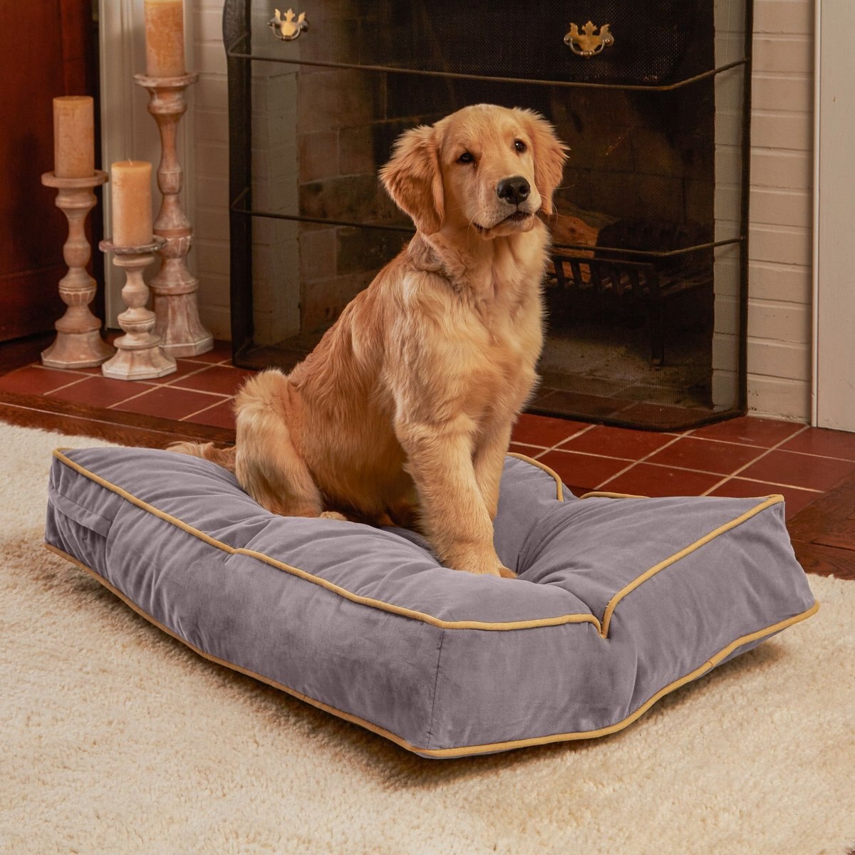 HAPPY HOUNDS Bailey Rectangle Pillow Dog Bed with Removable Cover
