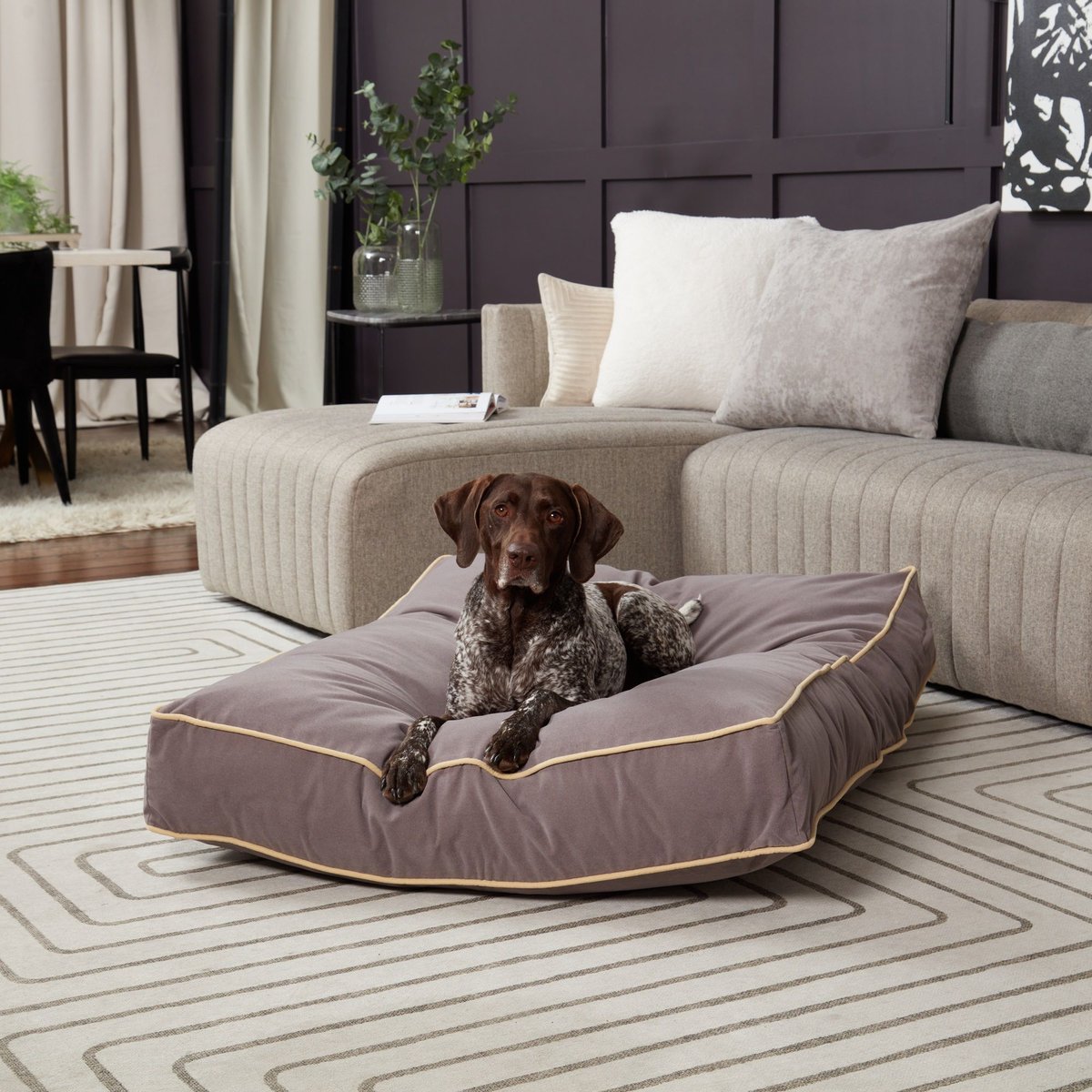 HAPPY HOUNDS Bailey Rectangle Pillow Dog Bed with Removable Cover